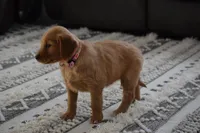 processed/665d348a-4b34-4753-8be0-1e23d7214fb1/listing/3c06db93-bcb2-43f6-9cb0-16baa30a2d66/e51a3f2b-761a-4c82-b4a7-cf6b8dd211a7