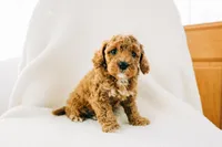 processed/6664a04e-f42b-416b-8eb7-fed1e35ce20d/listing/4cec845e-7352-4e82-829b-f2fa40ae135d/89f71d32-ff21-4140-af2f-4e696d5ed112