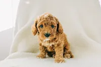 processed/6664a04e-f42b-416b-8eb7-fed1e35ce20d/listing/4cec845e-7352-4e82-829b-f2fa40ae135d/9957e9c9-8b0b-479f-8b28-910e1a7cf5d8