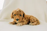 processed/6664a04e-f42b-416b-8eb7-fed1e35ce20d/listing/4cec845e-7352-4e82-829b-f2fa40ae135d/a7f27a15-bf1f-4e75-9445-ff627cfb1b83