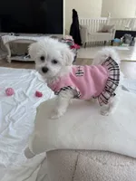 processed/6665974a-2f83-485b-86dd-be57edf41a15/listing/3ce9b6e2-953a-45cd-9666-f6e735c04e1b/b21b7879-3734-4220-806e-d6c28f06f624