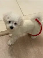 processed/6665974a-2f83-485b-86dd-be57edf41a15/listing/8c2ba8b9-70d6-4ef7-8ef4-86977293e112/c71f49d2-8ce5-41a0-8c62-df7505ddf9fc