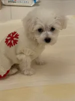 processed/6665974a-2f83-485b-86dd-be57edf41a15/listing/b0af24ec-0244-4fee-b982-52e1a4f9ca75/91b4e101-aa56-4865-8b43-c0c2ae96acf1