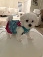 processed/6665974a-2f83-485b-86dd-be57edf41a15/listing/de1586f1-bcd5-4947-967d-e96d9783980f/08b86453-5ff3-4436-b6bf-9baf72c53160