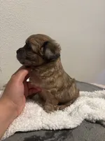 processed/66666215-6f21-443a-a7be-ce184e22b365/listing/2a5ae5ff-d620-423f-aa37-8f3c9f740797/16ed7ce0-68a5-43a4-93a1-74630ea81e0b