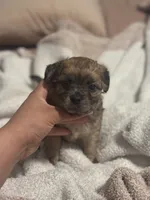 processed/66666215-6f21-443a-a7be-ce184e22b365/listing/2a5ae5ff-d620-423f-aa37-8f3c9f740797/1908f780-0194-4193-9057-069eef7b4631