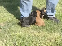 processed/666f7f11-f95b-460f-80a0-d3090d90b25c/facility/35655460-2407-4e7f-84e3-ae4306df8ea0