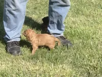 processed/666f7f11-f95b-460f-80a0-d3090d90b25c/facility/3f792b6a-bcc5-4351-916a-eae6fc2a33f3