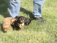 processed/666f7f11-f95b-460f-80a0-d3090d90b25c/facility/4228d237-5f89-4045-8783-55f98da89e4f