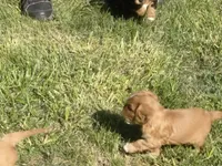 processed/666f7f11-f95b-460f-80a0-d3090d90b25c/facility/62a11440-8f16-48cb-8677-171aa005a36e