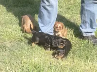 processed/666f7f11-f95b-460f-80a0-d3090d90b25c/facility/a72e41da-3a42-47df-8012-978408ec2d1e