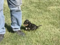 processed/666f7f11-f95b-460f-80a0-d3090d90b25c/facility/bac83f86-b33c-4629-80b9-8f6150e52cca