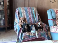 processed/666f7f11-f95b-460f-80a0-d3090d90b25c/facility/e614255f-c2f4-4b59-8997-2293df3385db