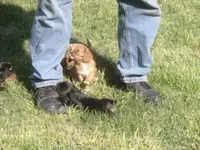 processed/666f7f11-f95b-460f-80a0-d3090d90b25c/facility/f4d0a86b-52e8-4d30-8ef5-bcd4c4f6be61