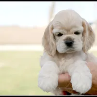 processed/667b5744-0341-4816-a8cd-e384c3fd8c55/facility/08a1352d-aa01-4f5c-9f5a-ac79e2856726