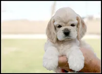 processed/667b5744-0341-4816-a8cd-e384c3fd8c55/facility/08a1352d-aa01-4f5c-9f5a-ac79e2856726