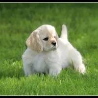 processed/667b5744-0341-4816-a8cd-e384c3fd8c55/facility/153b0fbd-f7b9-466a-abe1-3f65a30b6cca