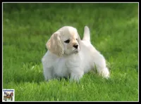 processed/667b5744-0341-4816-a8cd-e384c3fd8c55/facility/153b0fbd-f7b9-466a-abe1-3f65a30b6cca