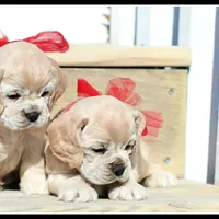 processed/667b5744-0341-4816-a8cd-e384c3fd8c55/facility/15901def-6dbb-4d60-b5a8-f206dcb442d8