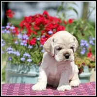 processed/667b5744-0341-4816-a8cd-e384c3fd8c55/facility/20b81a74-2ba1-439e-a9e7-f5a8ebc4a12d