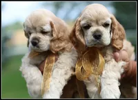 processed/667b5744-0341-4816-a8cd-e384c3fd8c55/facility/2976d27e-c9af-4611-b967-573372f8a3c0