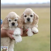 processed/667b5744-0341-4816-a8cd-e384c3fd8c55/facility/fb2c6c49-ba3e-47db-94c6-e6059edf3e41