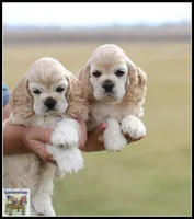 processed/667b5744-0341-4816-a8cd-e384c3fd8c55/facility/fb2c6c49-ba3e-47db-94c6-e6059edf3e41