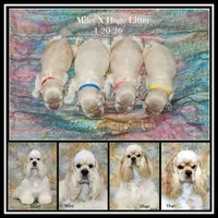 processed/667b5744-0341-4816-a8cd-e384c3fd8c55/listing/479b0e3f-3f41-41b6-a13f-a2764f9a0869/150d41c9-0acf-4349-a132-332baff7681b