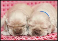 processed/667b5744-0341-4816-a8cd-e384c3fd8c55/listing/479b0e3f-3f41-41b6-a13f-a2764f9a0869/94df6fc1-eacc-41a9-b401-717065514c0e