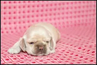 processed/667b5744-0341-4816-a8cd-e384c3fd8c55/listing/d1efee8f-7c2f-490f-a390-5ce66d6ef1e4/1ad6990e-ec0e-41c4-adf6-45ba9c17599a