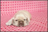 processed/667b5744-0341-4816-a8cd-e384c3fd8c55/listing/d1efee8f-7c2f-490f-a390-5ce66d6ef1e4/2cbd2e0e-7998-4ba0-a6b0-9d29df632f4d