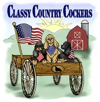 processed/667b5744-0341-4816-a8cd-e384c3fd8c55/listing/d1efee8f-7c2f-490f-a390-5ce66d6ef1e4/87c4ffd0-0d64-4460-a4bd-081ed1a1d94e