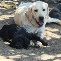 processed/668dccc5-d527-4546-9488-eab0dd7693a4/facility/347a40ad-7bd9-41bd-8e2a-22b19aa2fc67