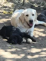 processed/668dccc5-d527-4546-9488-eab0dd7693a4/facility/347a40ad-7bd9-41bd-8e2a-22b19aa2fc67