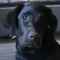 processed/668dccc5-d527-4546-9488-eab0dd7693a4/facility/8ca198de-1930-41d6-a8af-9e9ff27cc364