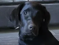 processed/668dccc5-d527-4546-9488-eab0dd7693a4/facility/8ca198de-1930-41d6-a8af-9e9ff27cc364