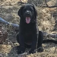 processed/668dccc5-d527-4546-9488-eab0dd7693a4/facility/8df163fa-f415-4a53-9271-8abb8ac77833