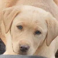 processed/668dccc5-d527-4546-9488-eab0dd7693a4/facility/a09224a0-1a71-4114-93f5-b3586a4b1e1b