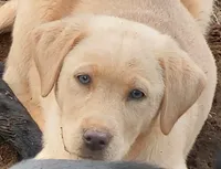 processed/668dccc5-d527-4546-9488-eab0dd7693a4/facility/a09224a0-1a71-4114-93f5-b3586a4b1e1b