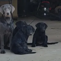 processed/668dccc5-d527-4546-9488-eab0dd7693a4/facility/b7be33f3-6f40-4b5b-9963-a6b9b43db257