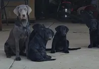 processed/668dccc5-d527-4546-9488-eab0dd7693a4/facility/b7be33f3-6f40-4b5b-9963-a6b9b43db257