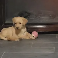 processed/668dccc5-d527-4546-9488-eab0dd7693a4/facility/de361951-d159-49c8-9b2c-a33182af8617