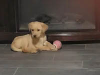 processed/668dccc5-d527-4546-9488-eab0dd7693a4/facility/de361951-d159-49c8-9b2c-a33182af8617