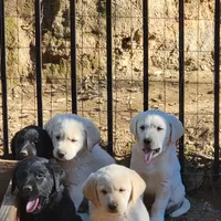 processed/668dccc5-d527-4546-9488-eab0dd7693a4/facility/ffe128bb-ffdb-41bd-b908-f777f0eb6f0f