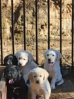 processed/668dccc5-d527-4546-9488-eab0dd7693a4/facility/ffe128bb-ffdb-41bd-b908-f777f0eb6f0f