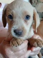 processed/668dccc5-d527-4546-9488-eab0dd7693a4/listing/77dd1259-e806-4f79-9d82-0ba69cd5d0c8/24f0bbde-0750-43a9-8be7-48e6f5505380