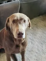 processed/668dccc5-d527-4546-9488-eab0dd7693a4/listing/77dd1259-e806-4f79-9d82-0ba69cd5d0c8/9b439792-8dfa-467a-8efc-31df6cfcffcb