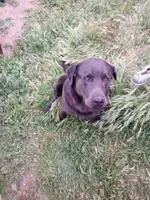 processed/668dccc5-d527-4546-9488-eab0dd7693a4/listing/77dd1259-e806-4f79-9d82-0ba69cd5d0c8/b9b31227-ac45-4746-9229-a8820fd66406