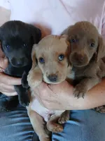 processed/668dccc5-d527-4546-9488-eab0dd7693a4/listing/cb891dc3-6c63-4a35-acd2-1e6f7ba8b518/592c5654-91df-4a45-9af2-1ed429724ecc