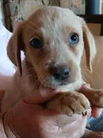 processed/668dccc5-d527-4546-9488-eab0dd7693a4/listing/cb891dc3-6c63-4a35-acd2-1e6f7ba8b518/9f840e8e-0883-4399-bc88-26f8fdce7bf3